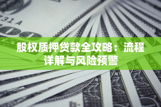 武汉股权质押贷款全攻略：流程详解与风险预警
