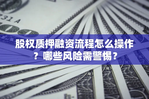 武汉股权质押融资流程怎么操作？哪些风险需警惕？