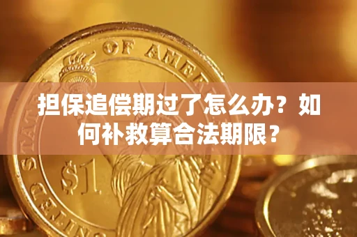 武汉担保追偿期过了怎么办？如何补救算合法期限？