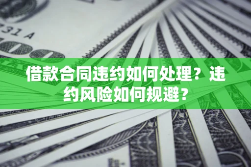 武汉借款合同违约如何处理？违约风险如何规避？