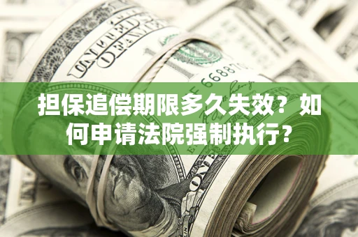 武汉担保追偿期限多久失效？如何申请法院强制执行？