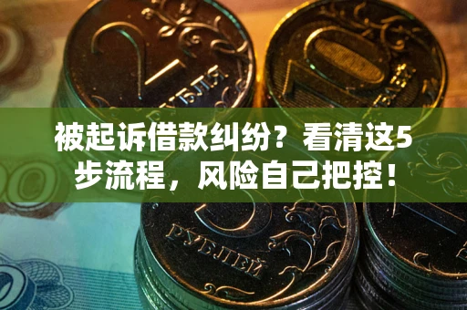 武汉被起诉借款纠纷？看清这5步流程，风险自己把控！