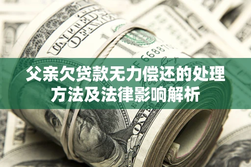 武汉父亲欠贷款无力偿还的处理方法及法律影响解析