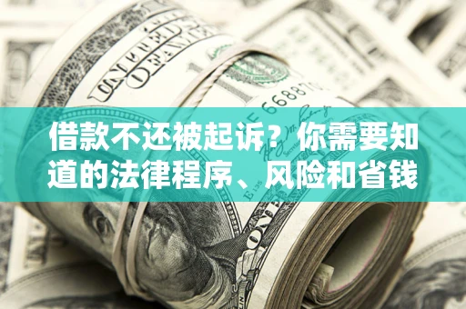 武汉借款不还被起诉？你需要知道的法律程序、风险和省钱技巧